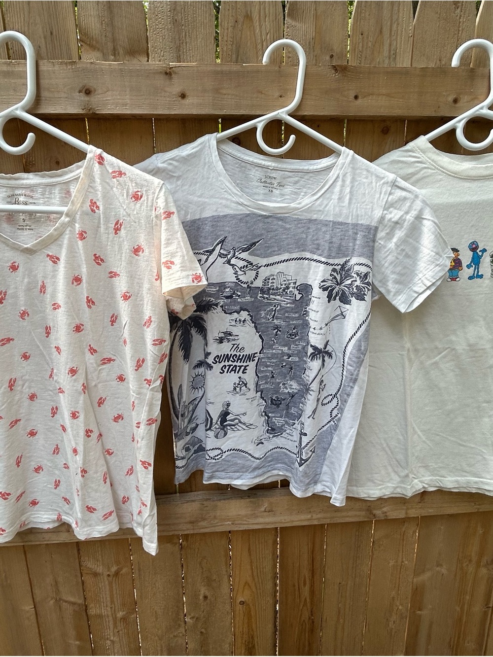 Graphic/Print Tee Shirt Trio Bundle